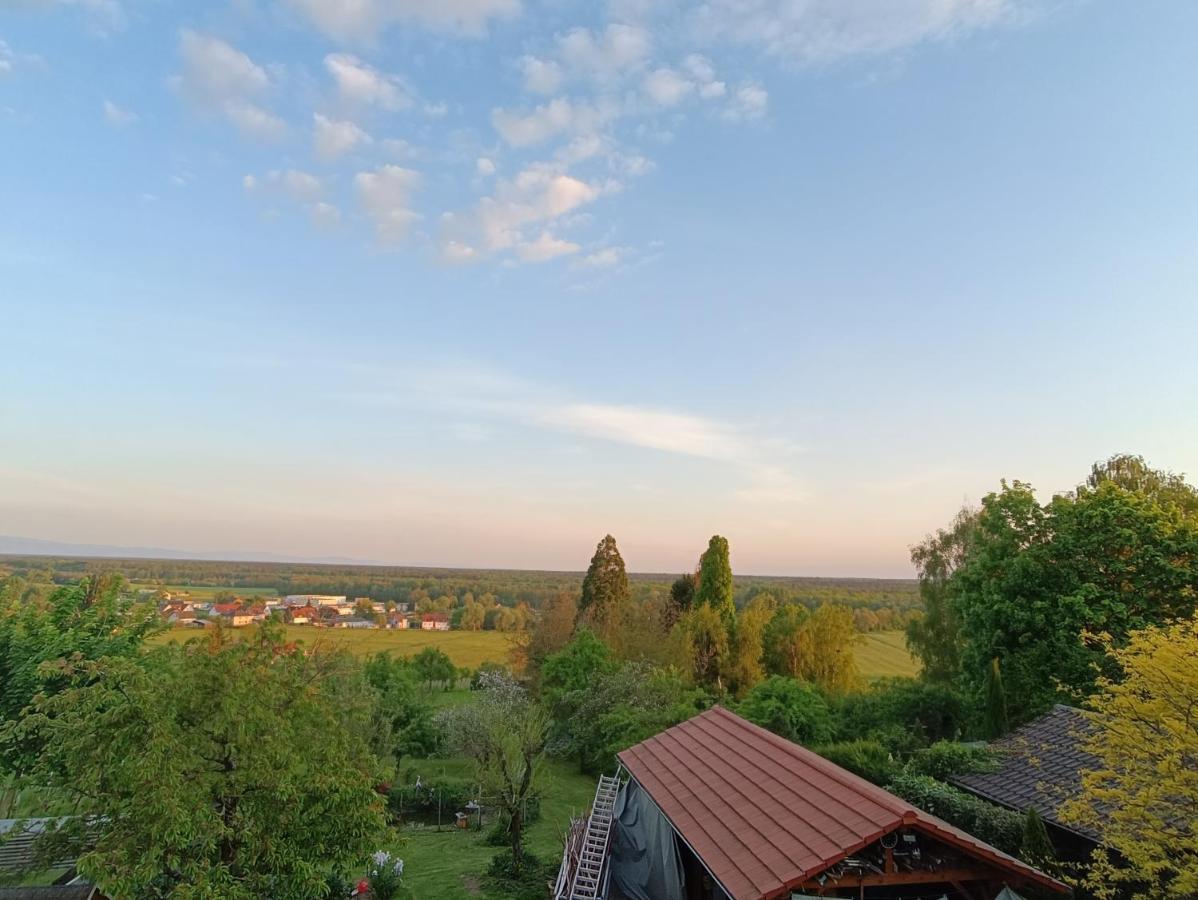 Au Fil Du Bonheur Studio Surbourg Экстерьер фото